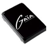 Преобразователь напряжения DC/DC GAIA Converter мощностью 60 Вт